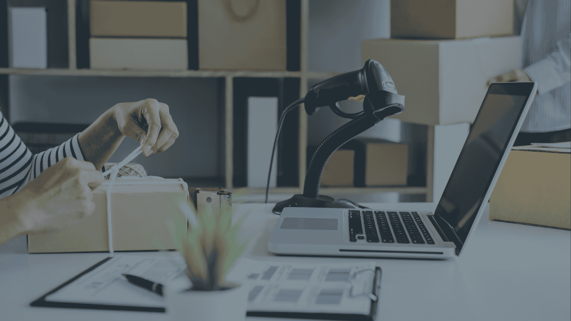 SARS compliance requirements for growing businesses in South Africa